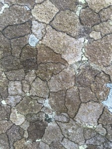 Lewis mill rock closeup