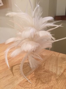 my first feather mount